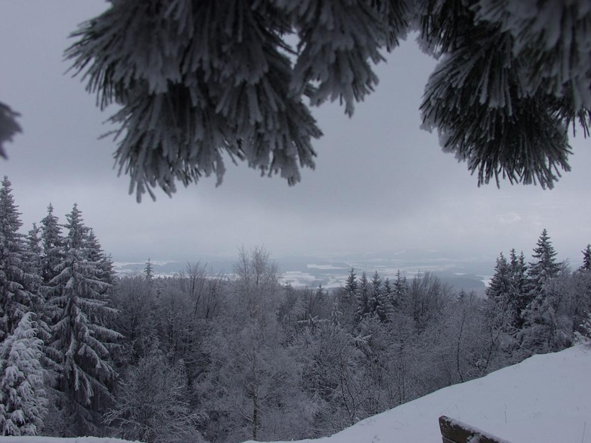 Steiner Wirt Hotel Tiefenbach  Bagian luar foto