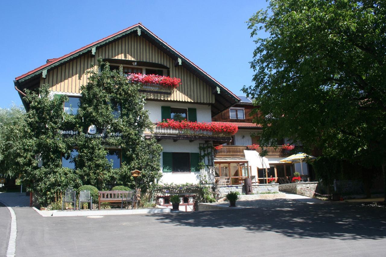 Steiner Wirt Hotel Tiefenbach  Bagian luar foto